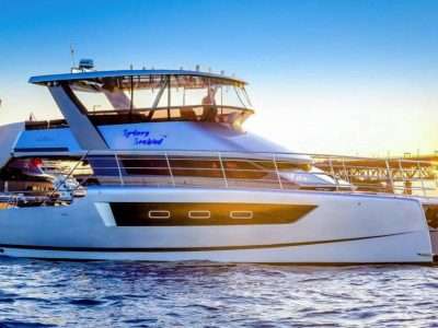 Sydney Seabird