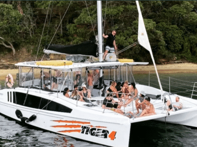 Tiger 4