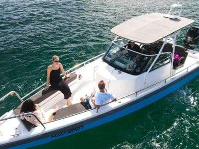 cruise on sydney harbour
