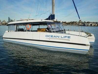 Ocean Life
