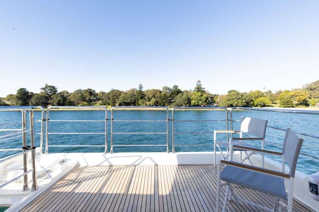 Sydney Harbour Wildlife Spotting Guide (from a charter boat)