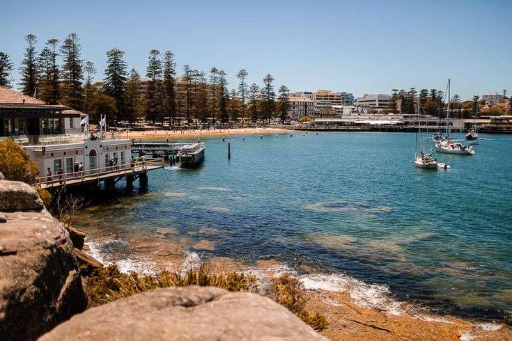 Penguins At Manly By Boat Sydney — Sydney Harbour boat hire