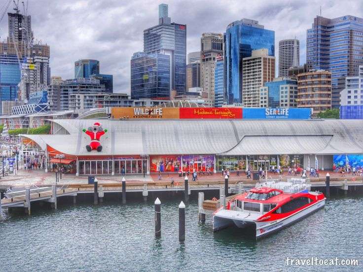 Pickup locations in sydney harbour and can I arrange multiple pickups?