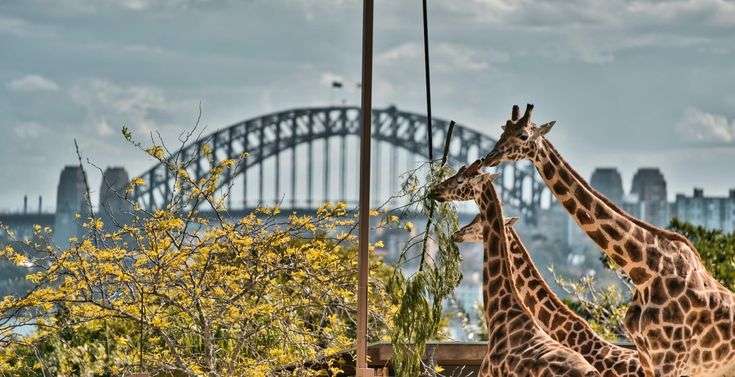 Must-See Landmarks on a Sydney Harbour Boat Hire