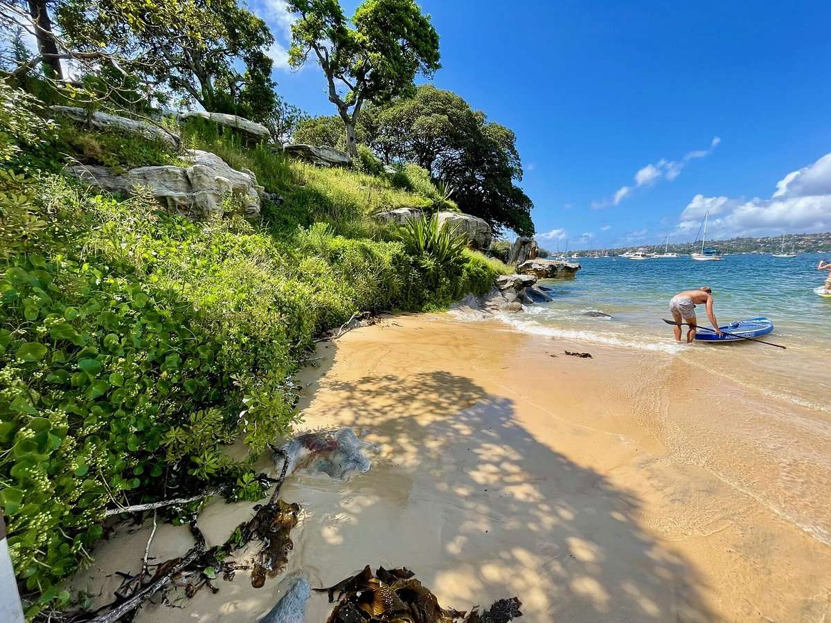 Boat Hire from Gladesville — Sydney Harbour