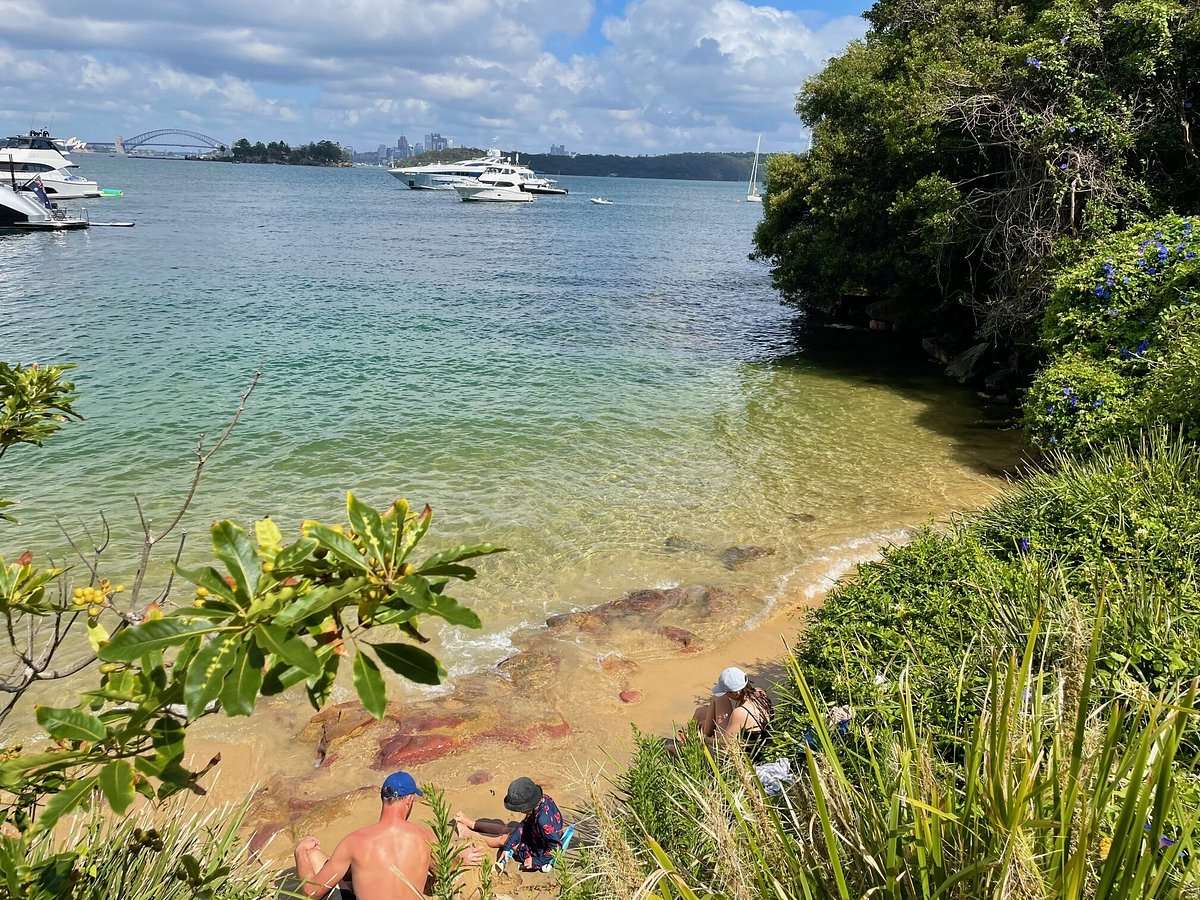 Pittwater Boat Hire — Sydney Harbour