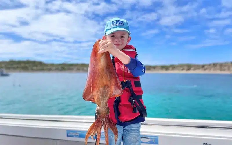 Sydney Harbour's Best Fishing Spots by Boat (Species & Season Guide)